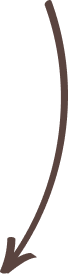 Flèche